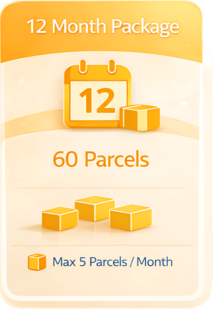 12 Months Subscription